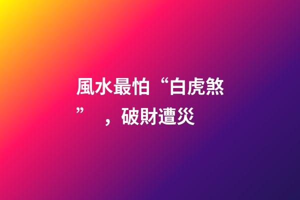 風水最怕“白虎煞”，破財遭災
